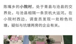 天津爆料人现状最新消息,最新动态与挑战并存