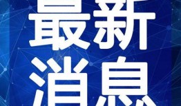 明星揭幕爆料视频大全最新,揭秘娱乐圈幕后故事，独家视频大全大放送！